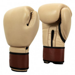 Title Boxing Honorary Training Gloves