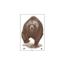 Action Target Alaska State Parks Bear Target 100Pk