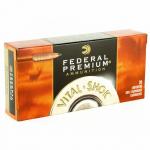 Fed Premium 243WIN 85gr Trphy Copper 20