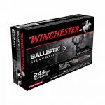 Win Ballistic Tip 243win 95gr 20/200