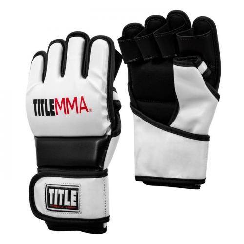 Title MMA Enforcer Training Gloves photo