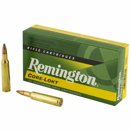 Remington 6mm Remington 100 Grain Pointed photo
