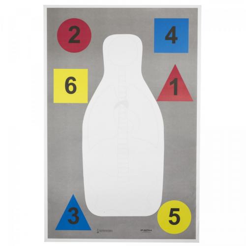 Action Targets DT-ANTQ-A Anatomy Multi Purpose photo