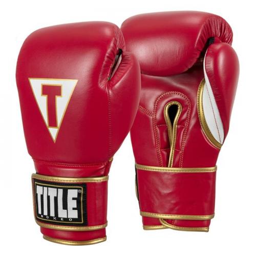 Title Boxeo Mexican Leather Training Gloves photo